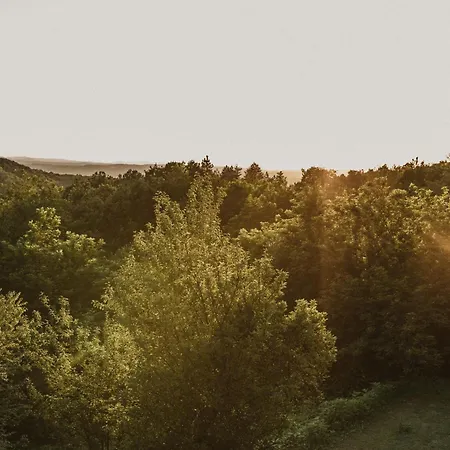Holiday home Forrest House Doboj
