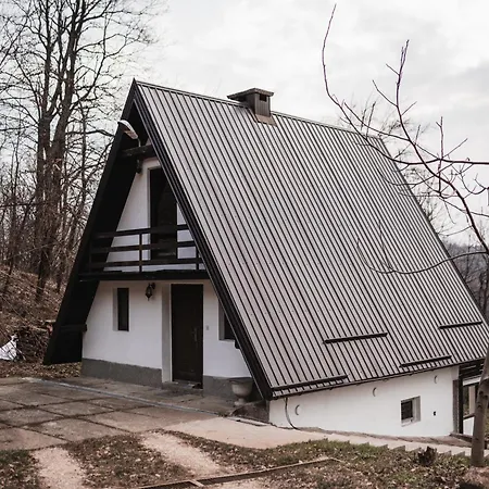 Сasa de vacaciones Forrest House